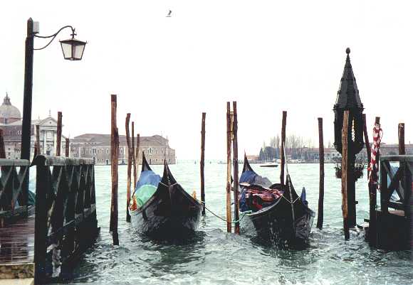 venice.jpg